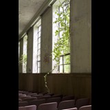 1539
